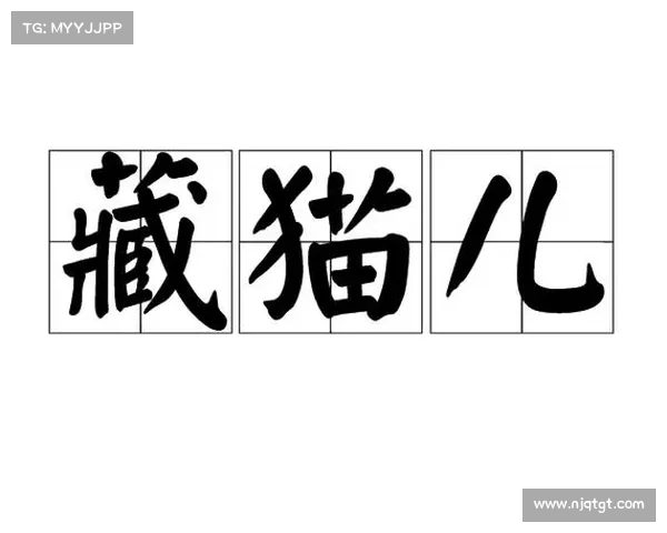 猫铃攻略不藏私:寻铃觅主,铃声引路 猫铃攻略不藏私:寻铃觅主,铃声引路